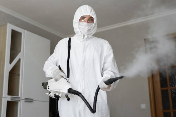 Best Residential Mold Inspection & Testing  in Findlay, OH